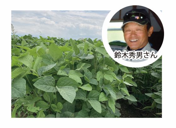 2020年9月開催　「枝豆の収穫体験」（1区画3〜5ｍ内すべて持ち帰り）参加者募集中